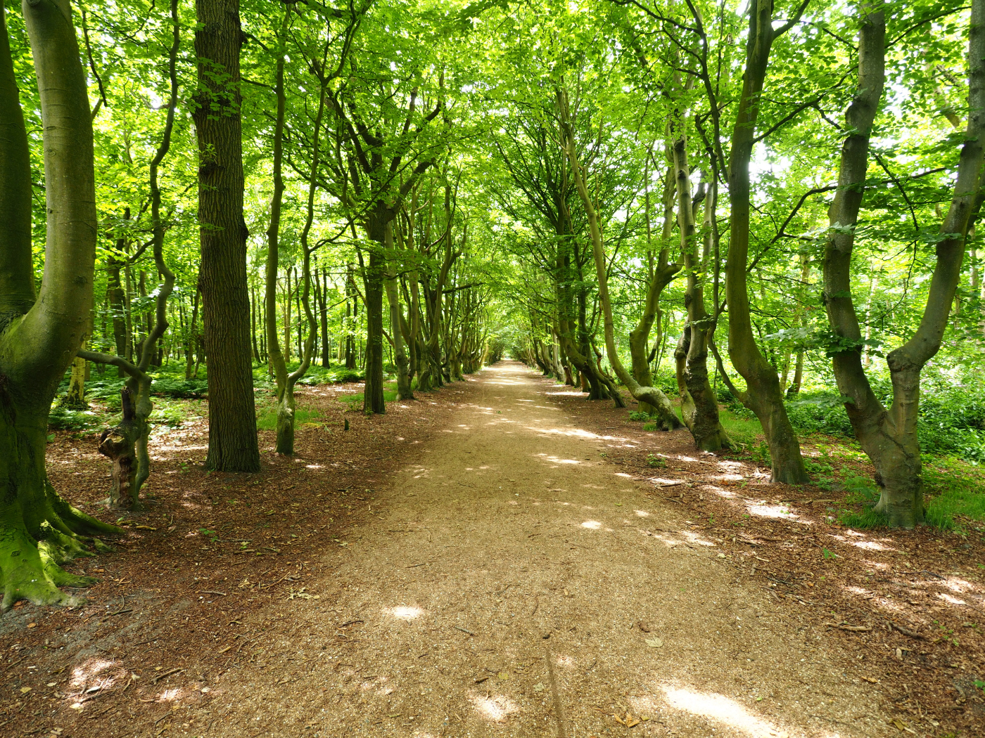 Is Skipton Castle Woods free?