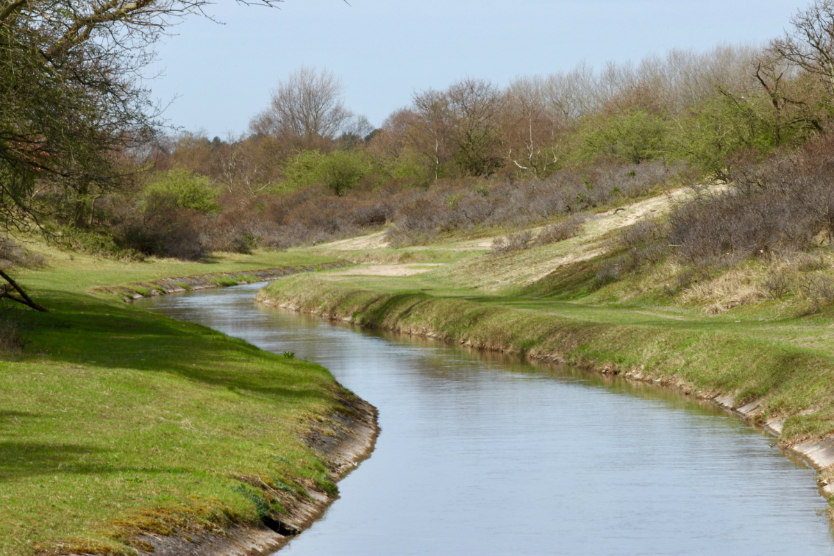 Travelling The Bridgewater Canal Image